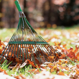 Leaf Collection Service Ending Next Week