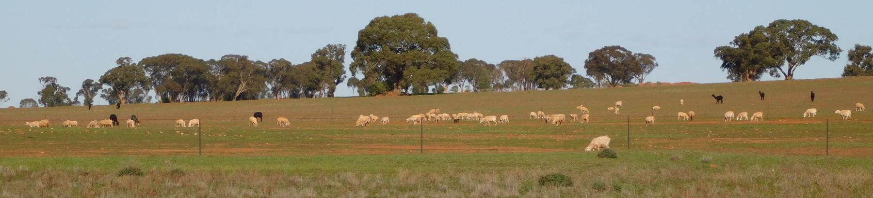 Farmland Rating Category Application