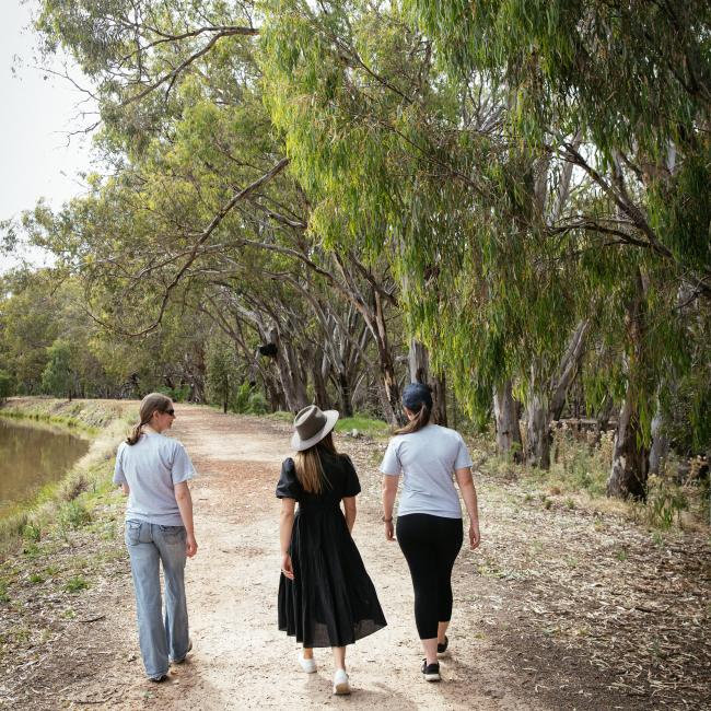 Public Consultation of draft Community Strategic Plan
